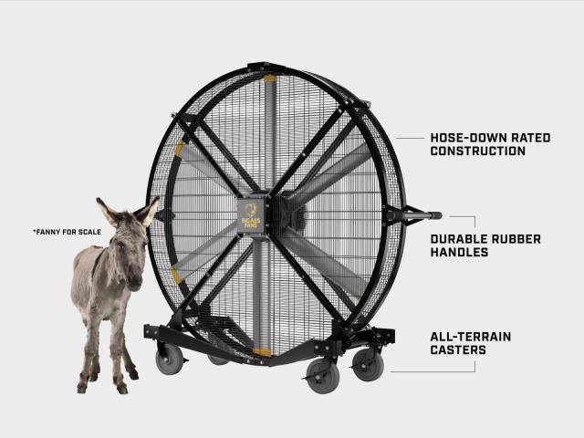 Rental store for FAN, 78  DIA.  BLACKJACK in Cincinnati OH