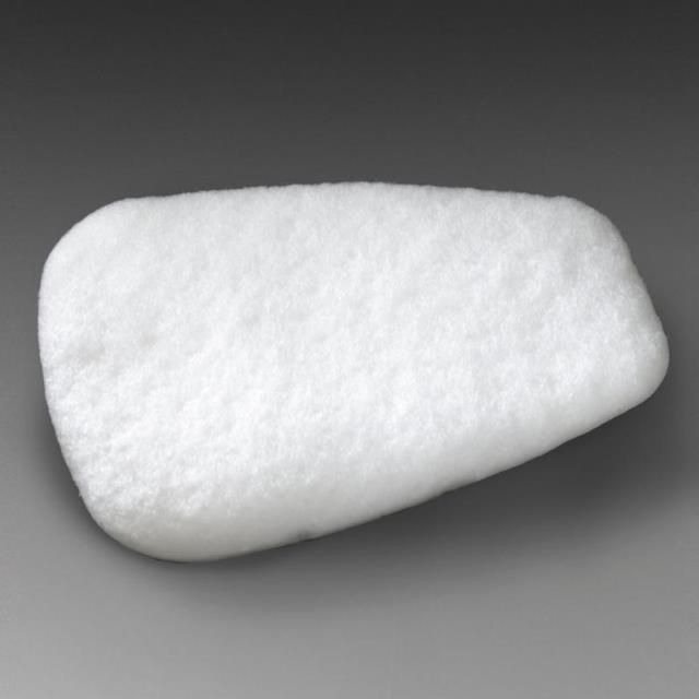 Rental store for FILTER, DUST MIST PAINT 3M in Cincinnati OH